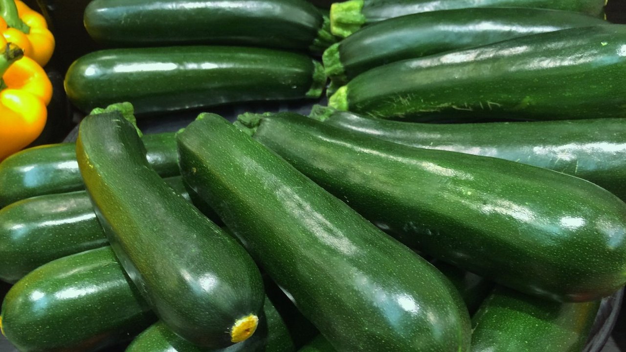 Zucchini.jpg