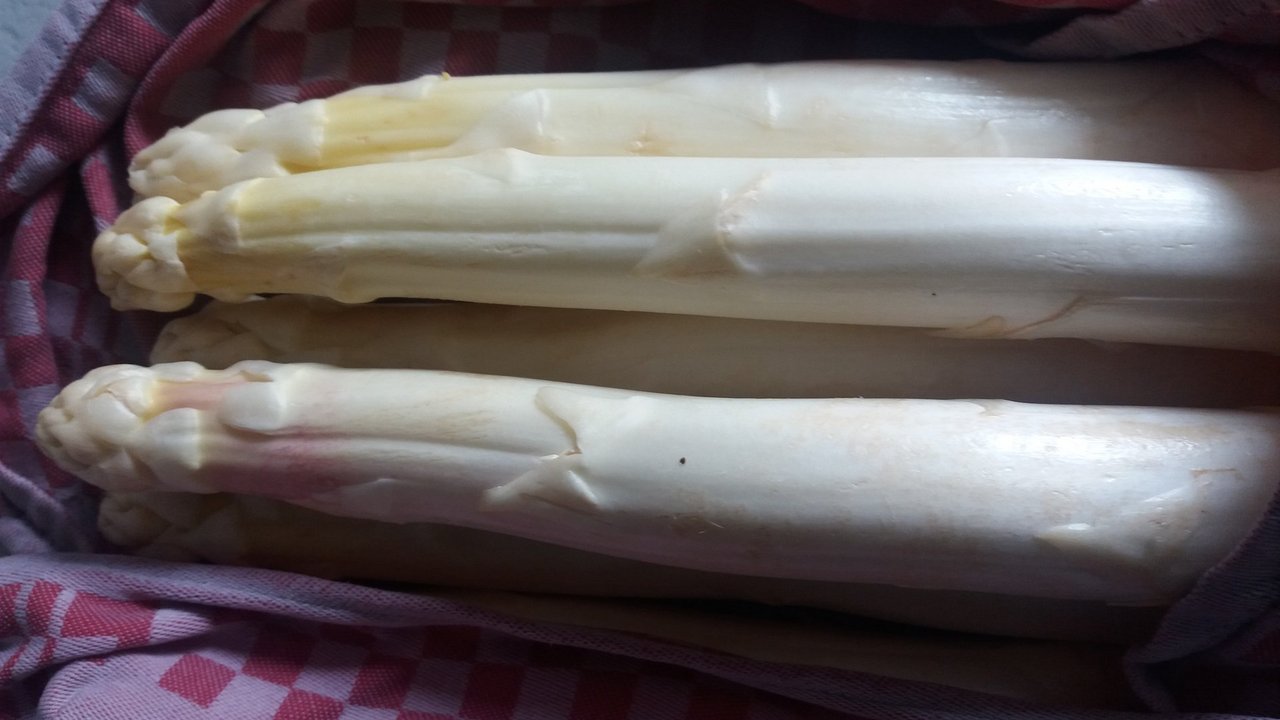 Spargel_eingeschlagen.jpg