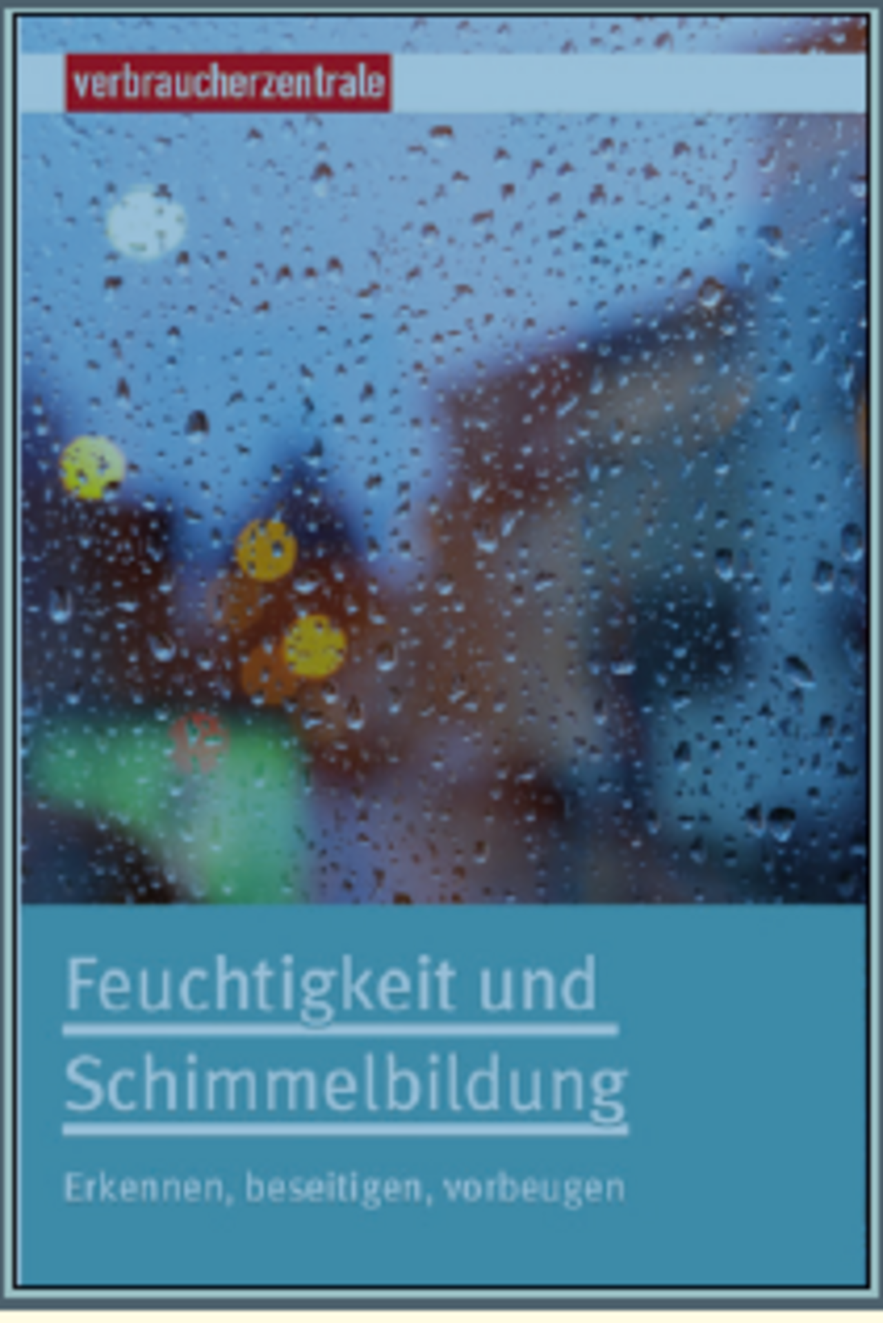 Feuchtigkeit und Schimmelpilze Schimmelpilze.PNG