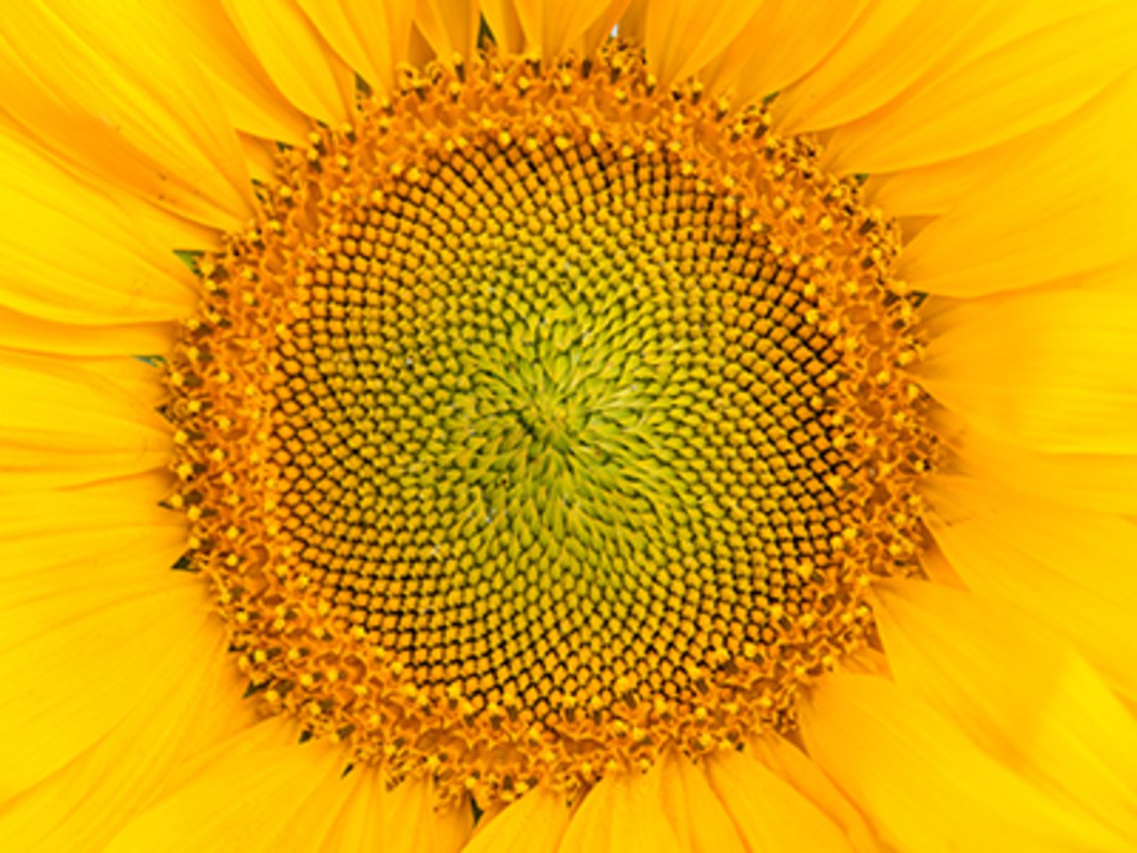 Aus den Gremien: Bayerischer Landesausschuss für Hauswirtschaft filler_aus-den-gremien.jpg