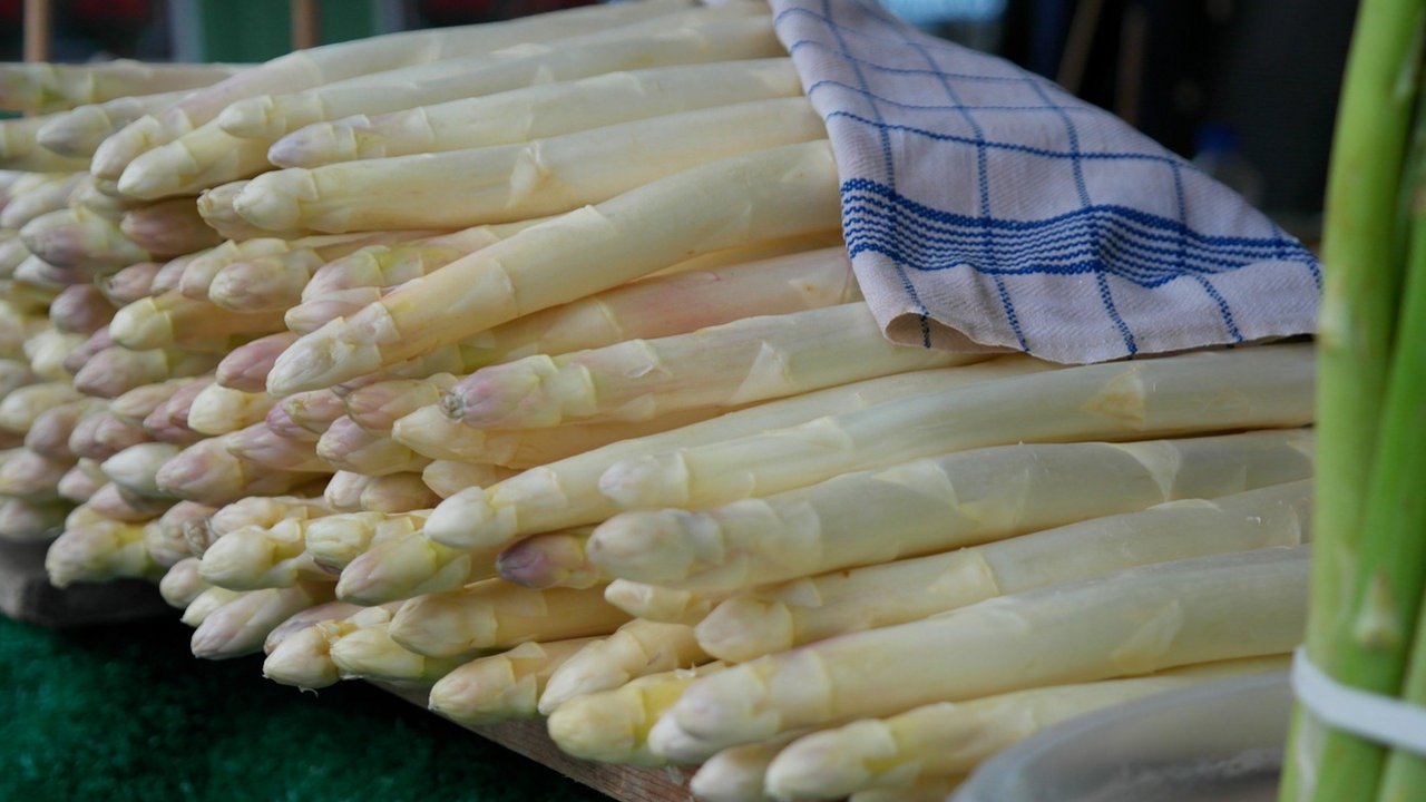 Spargel.jpg